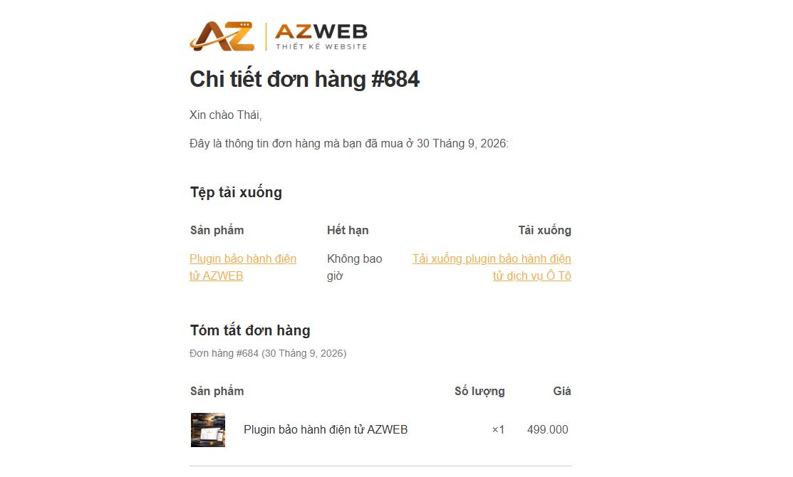 huong dan su dung plugin bao hanh dien tu o to 1